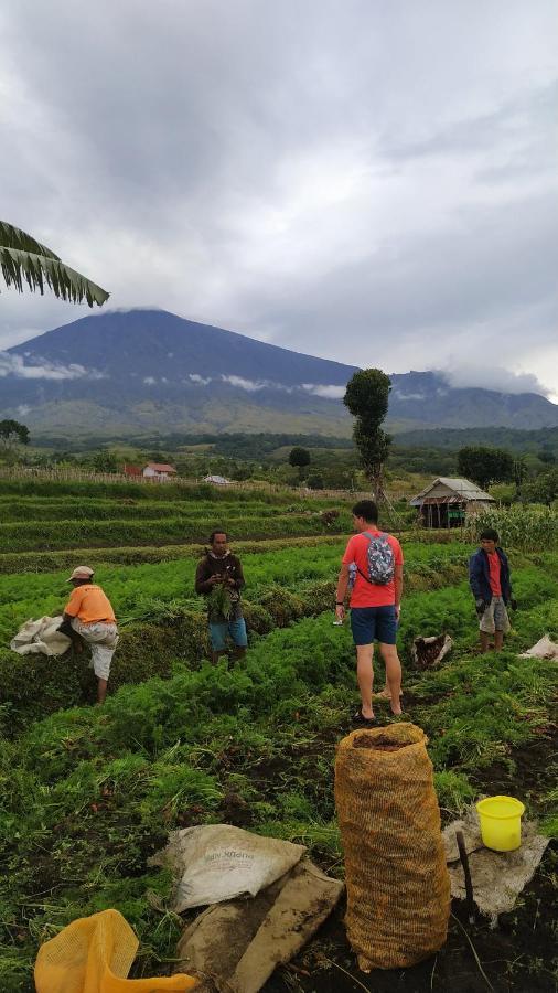 Family Rinjani Bungalow Sajang المظهر الخارجي الصورة