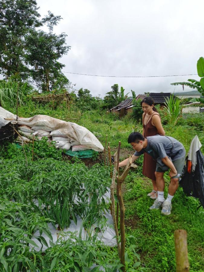 Family Rinjani Bungalow Sajang المظهر الخارجي الصورة