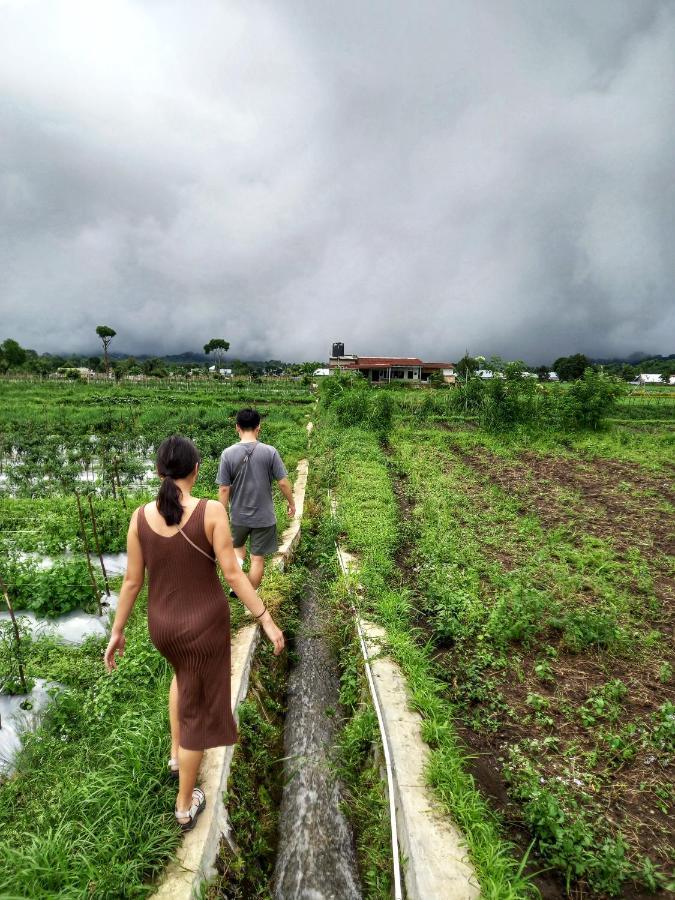 Family Rinjani Bungalow Sajang المظهر الخارجي الصورة