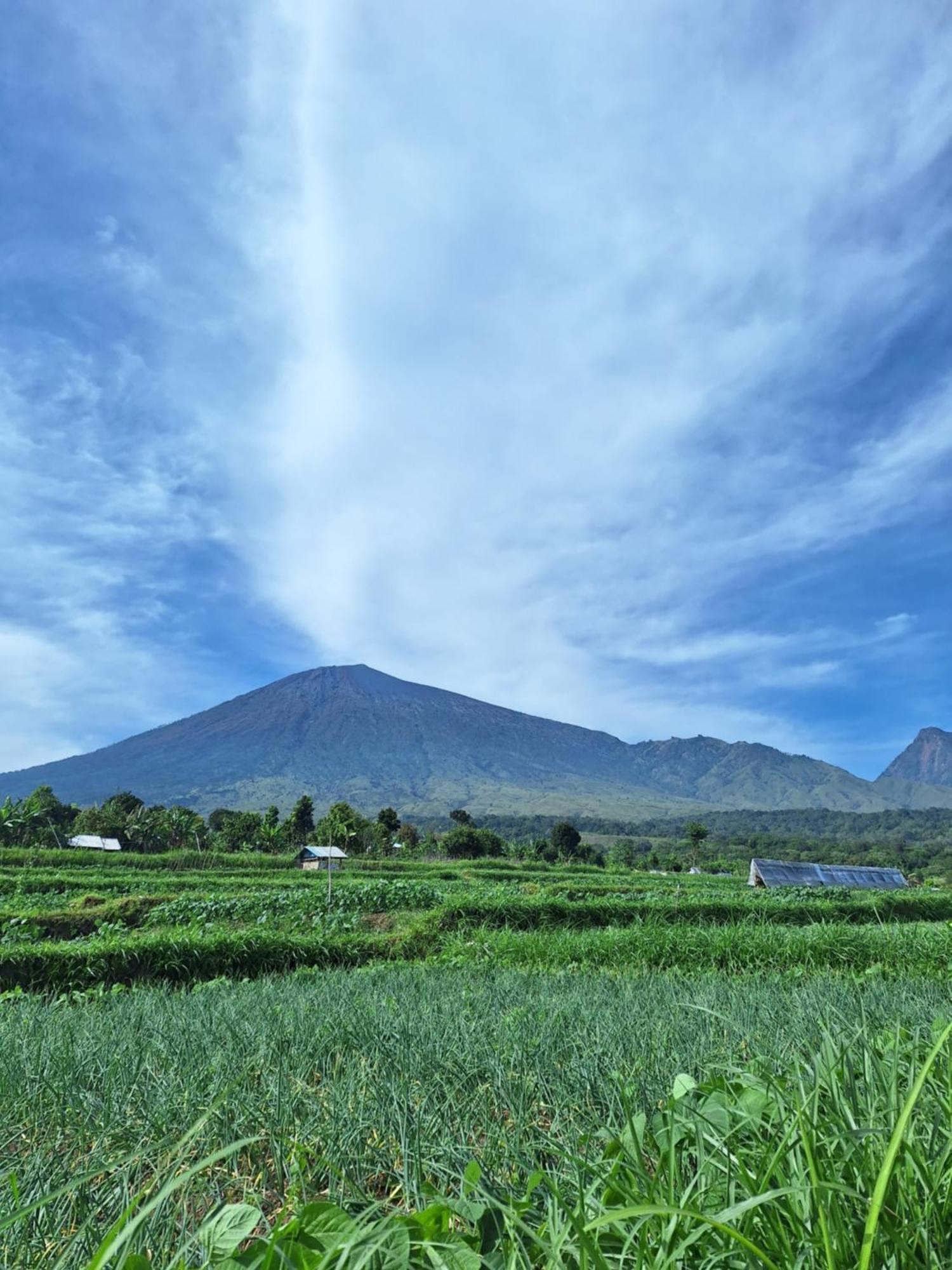 Family Rinjani Bungalow Sajang المظهر الخارجي الصورة