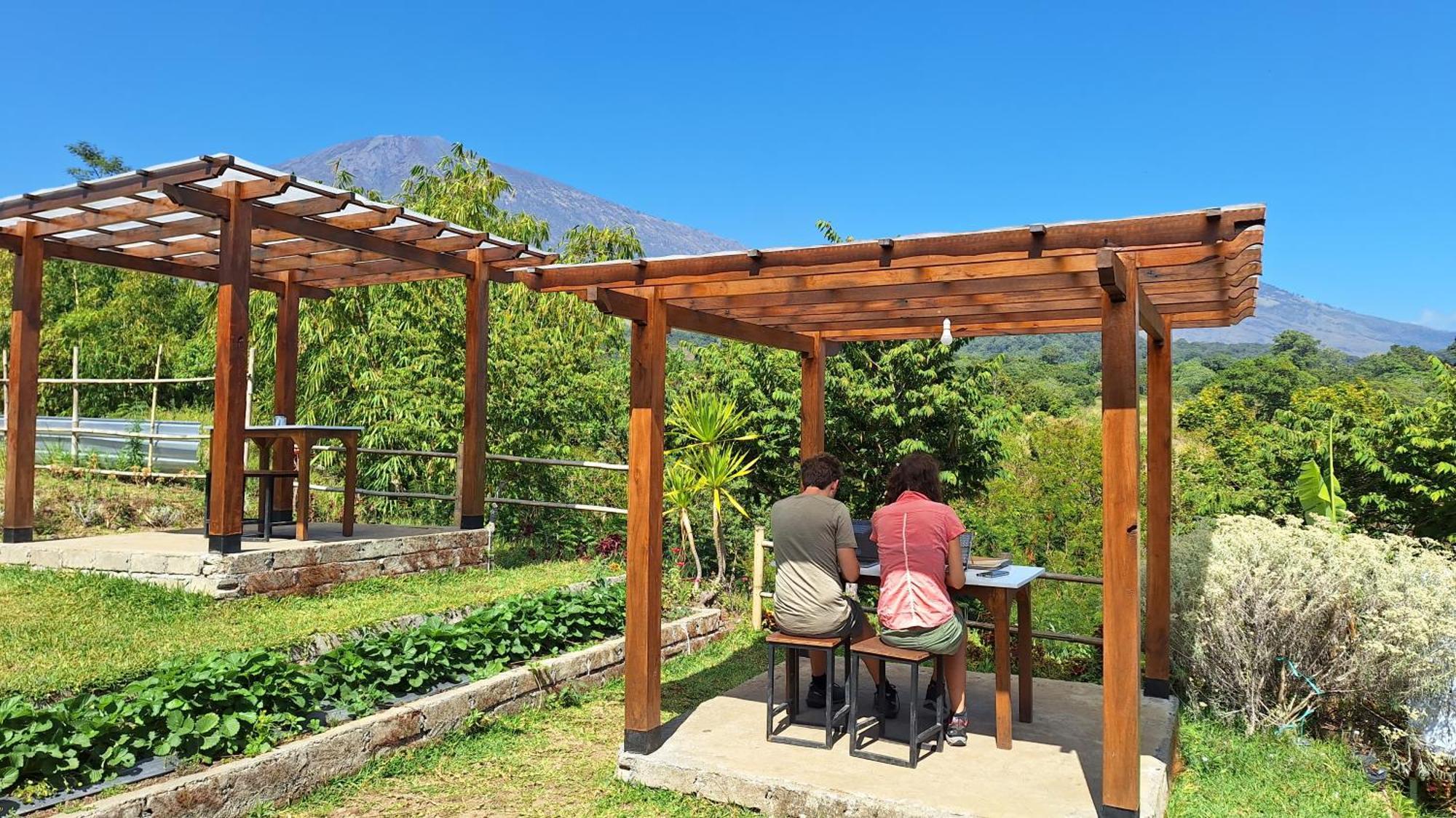 Family Rinjani Bungalow Sajang المظهر الخارجي الصورة